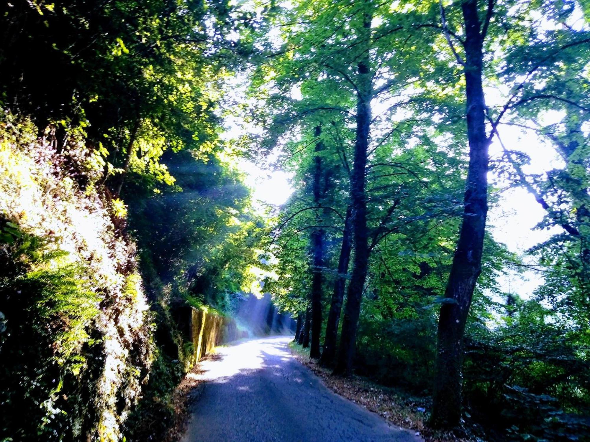 Casolare Puccini Daire Bagni di Lucca Dış mekan fotoğraf