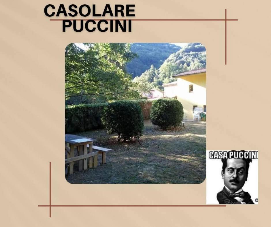 Casolare Puccini Daire Bagni di Lucca Dış mekan fotoğraf