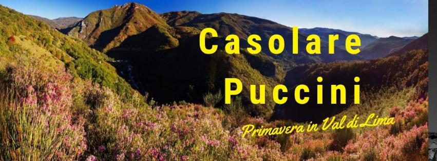 Casolare Puccini Daire Bagni di Lucca Dış mekan fotoğraf