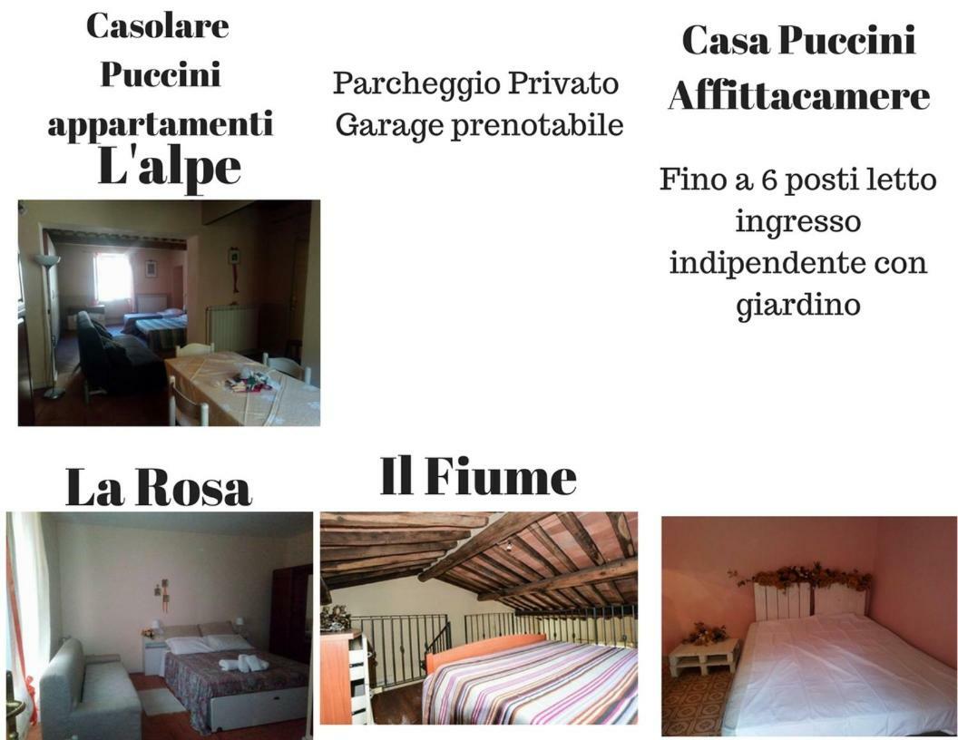 Casolare Puccini Daire Bagni di Lucca Dış mekan fotoğraf